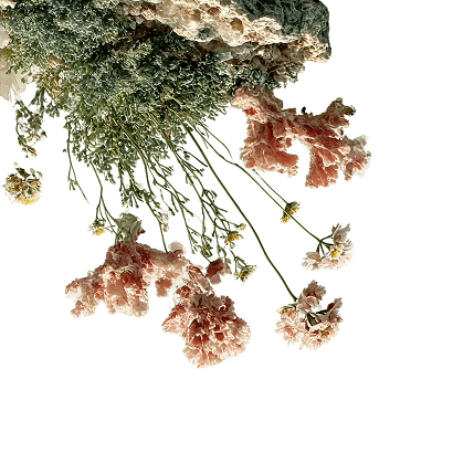 ENVIRONMENTALLY
FRIENDLY